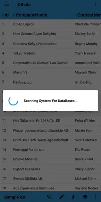 DBLite android App screenshot 0